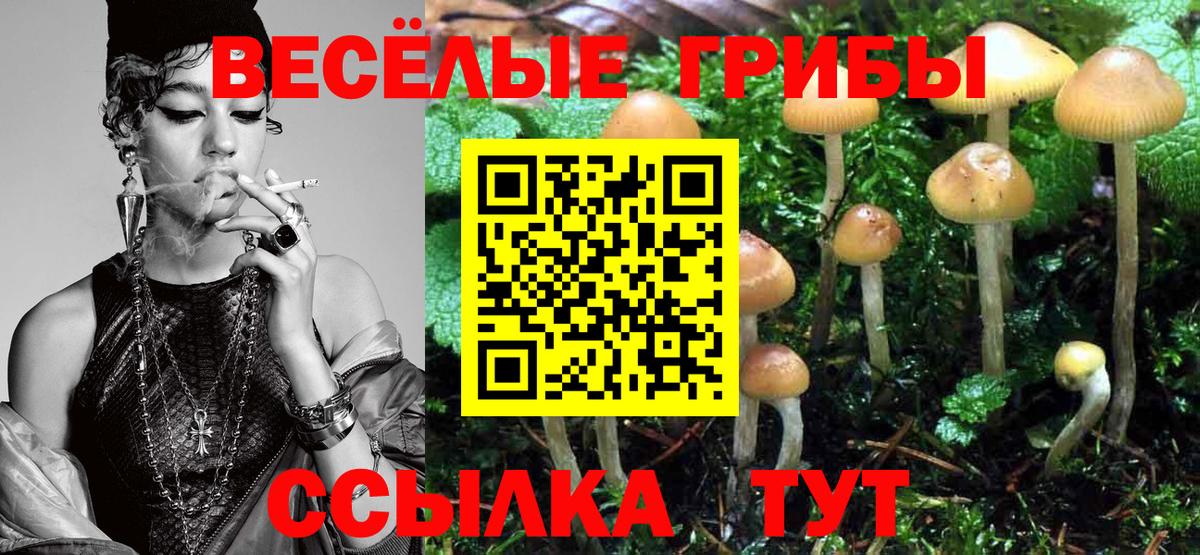 Псилоцибиновые грибы Cubensis Узловая